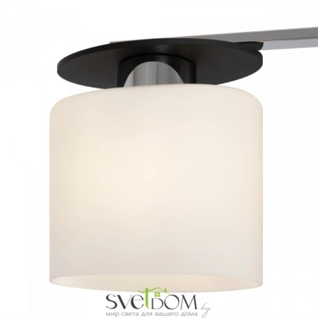 Светильники Freya FR5101-CL-03-CN от Магазина Svetdom.by