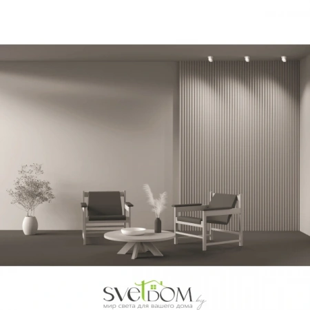 Встраиваемые светильники Maytoni DL044-01-GU10-W от Магазина Svetdom.by