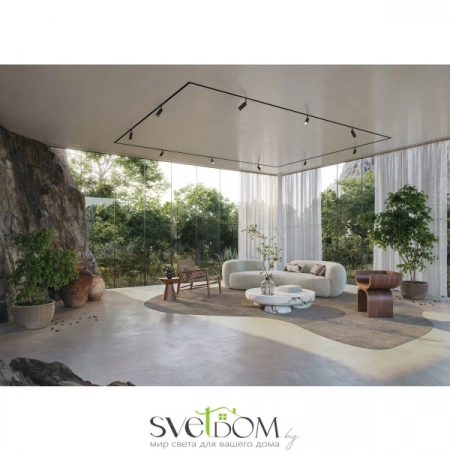 TR032-2-20W4K-M-B Maytoni