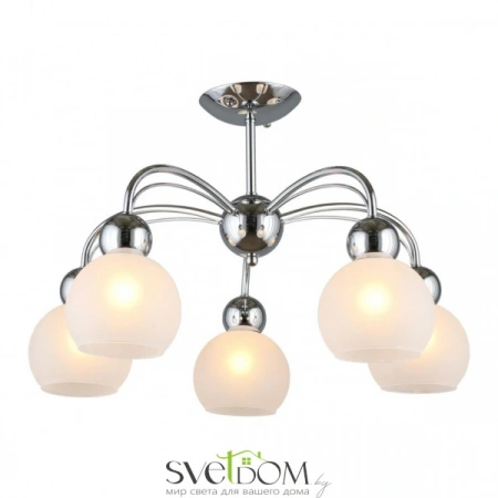 Люстры потолочныеOML-66307-05 Omnilux | Svetdom.by