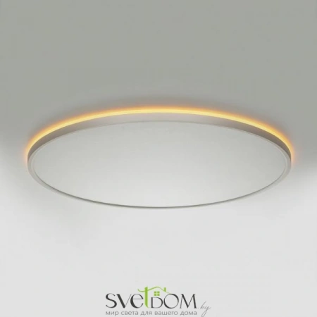 Накладные светильники CITILUX CL749600 от Магазина Svetdom.by