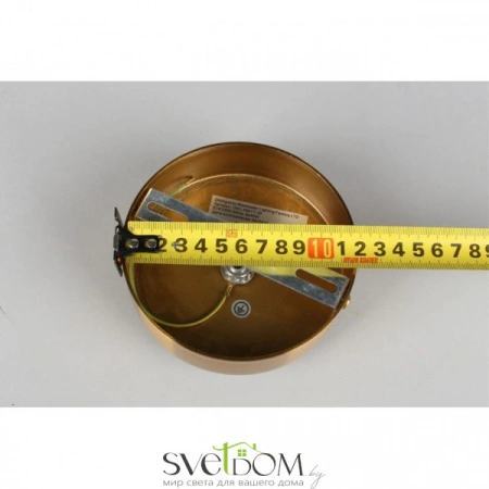 Люстры потолочныеOML-99617-08 Omnilux | Svetdom.by