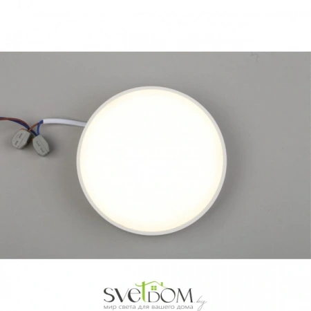 Настенно-потолочные светильники Aployt APL.0113.09.18 от Магазина Svetdom.by