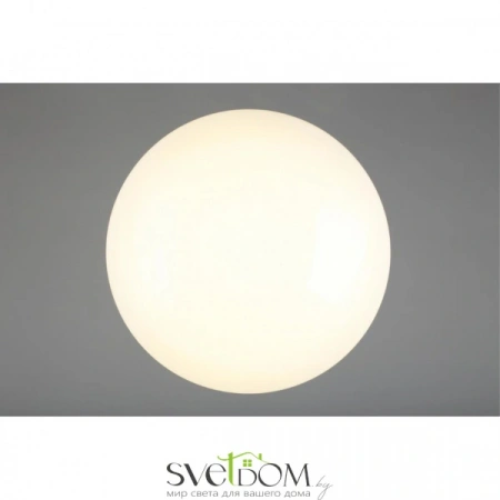 Люстры потолочныеOML-43007-40 Omnilux | Svetdom.by