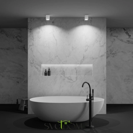 Потолочные светильники Maytoni C030CL-01W от Магазина Svetdom.by