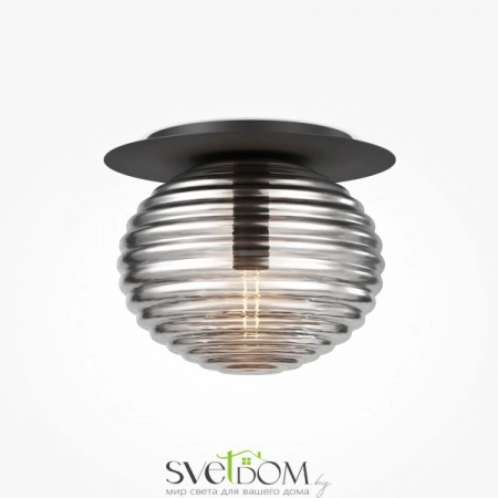 Потолочные светильники Maytoni MOD268CL-01B от Магазина Svetdom.by