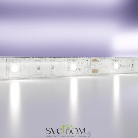 Светодиодная лента 12В 5050 7,2Вт/м  6000K 5м IP65 10125