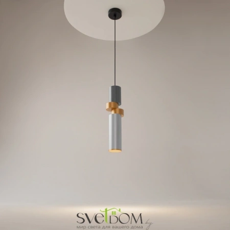 Подвесные светильники Maytoni MOD303PL-01CFL2 от Магазина Svetdom.by