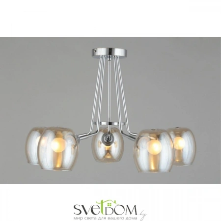 Люстры потолочныеOML-27307-05 Omnilux | Svetdom.by
