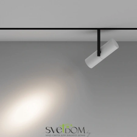 TR005-2-12W4K-BW Maytoni