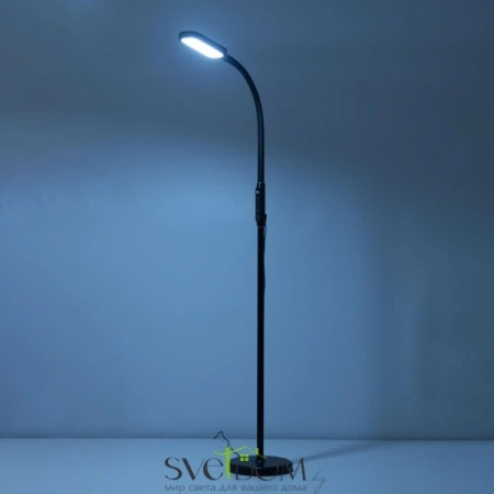 Citilux Марк CL804021 Торшер гибкий светодиодный Чёрный CITILUX