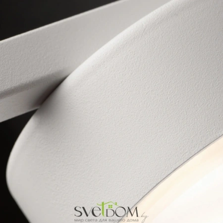 Потолочные светильники Freya FR5363CL-01W от Магазина Svetdom.by