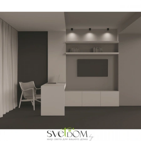 Потолочные светильники Maytoni C064CL-L12B4K от Магазина Svetdom.by