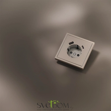 Накладка для розетки USB A+C Voltum S70 METAL Платина VLSM001010 Voltum VLSM001010