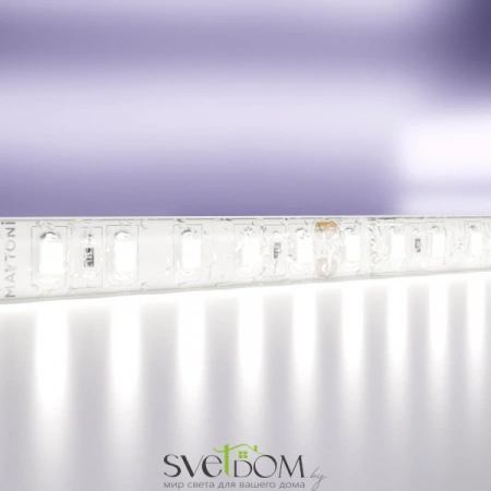 Светодиодная лента 24В 2835 14,4Вт/м 6000K 5м IP65 10153