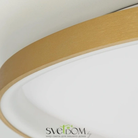 Люстры потолочныеCL756A162 CITILUX | Svetdom.by