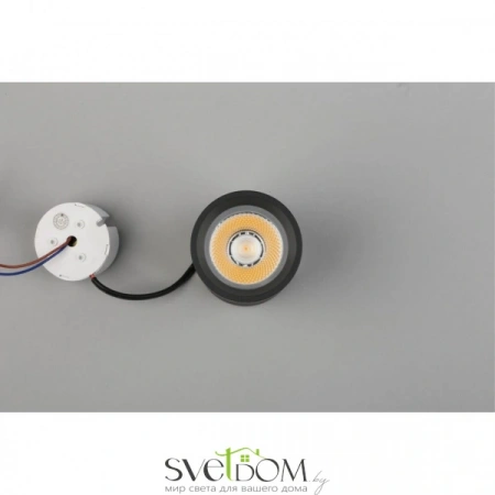 Накладные светильники Aployt APL.0053.19.10 от Магазина Svetdom.by