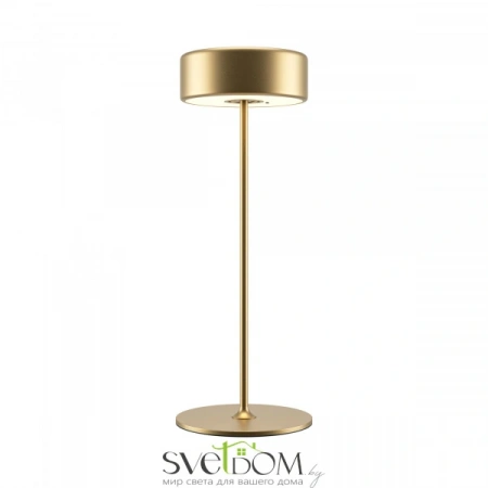 Аккумуляторный светильник Maytoni MOD229TL-L3G3K2 MOD229TL-L3G3K2 Maytoni