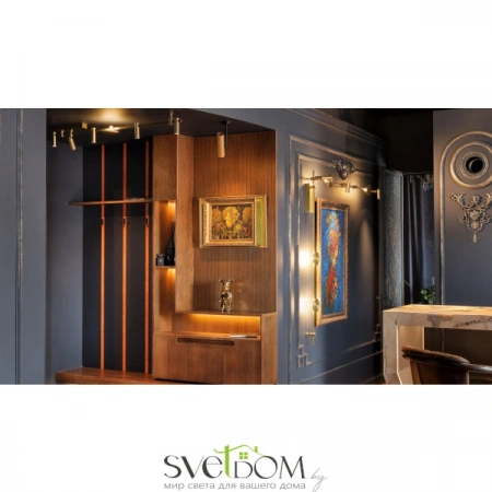 Потолочные светильники Maytoni C020CL-01GB от Магазина Svetdom.by