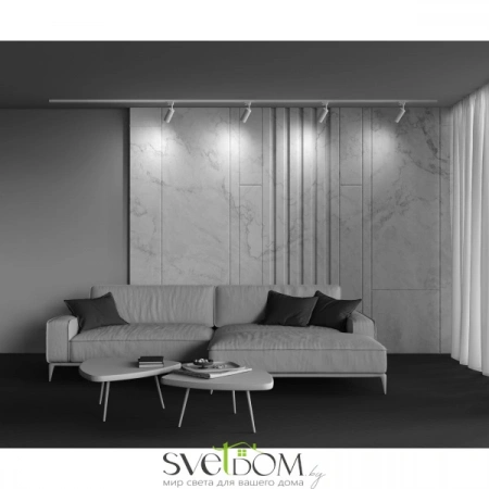 TR011-1-GU10-W Maytoni