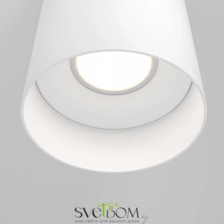 Потолочные светильники Maytoni C014CL-01W от Магазина Svetdom.by