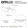Люстры потолочныеCL228A141 CITILUX | Svetdom.by