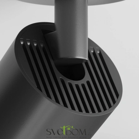 Потолочные светильники Maytoni C049CL-U-1B от Магазина Svetdom.by