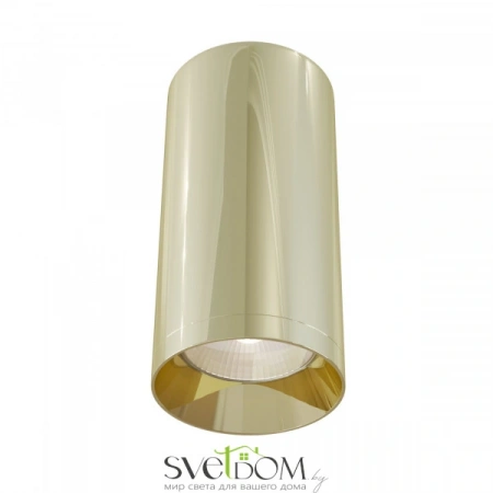 Потолочные светильники Maytoni C010CL-01G от Магазина Svetdom.by