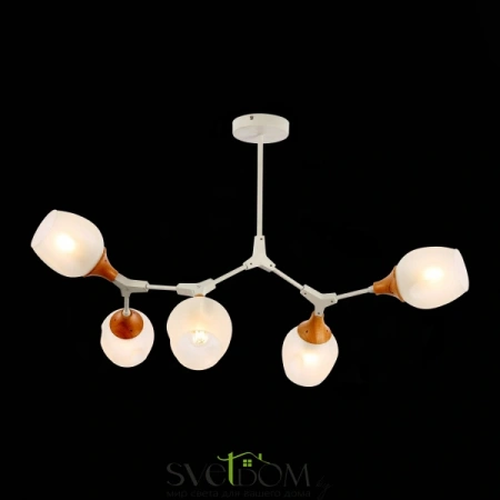 Потолочные светильники EVOLUCE SLE113502-05 от Магазина Svetdom.by