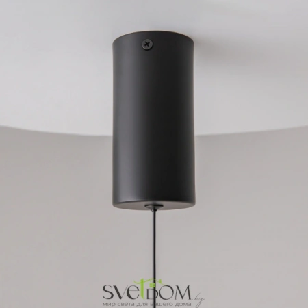 Подвесные светильники Maytoni P022PL-L10B от Магазина Svetdom.by