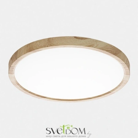 Citilux Бейсик CL738242V LED Светильник накладной Клён CITILUX
